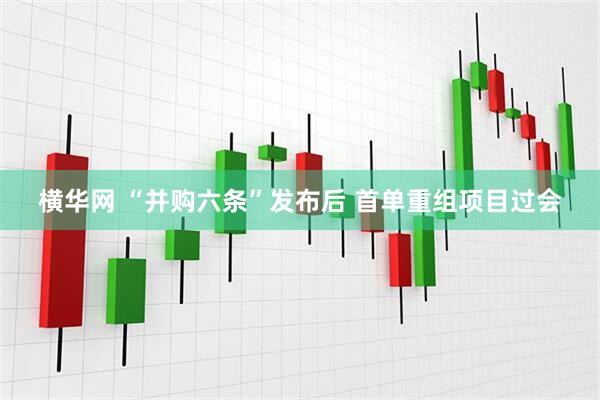 横华网 “并购六条”发布后 首单重组项目过会