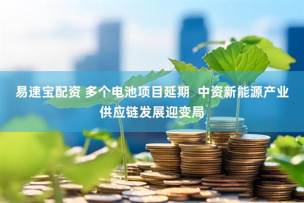易速宝配资 多个电池项目延期  中资新能源产业供应链发展迎变局