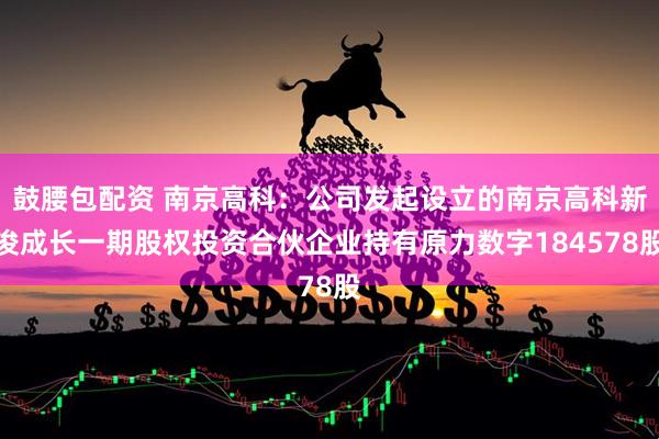 鼓腰包配资 南京高科：公司发起设立的南京高科新浚成长一期股权投资合伙企业持有原力数字184578股